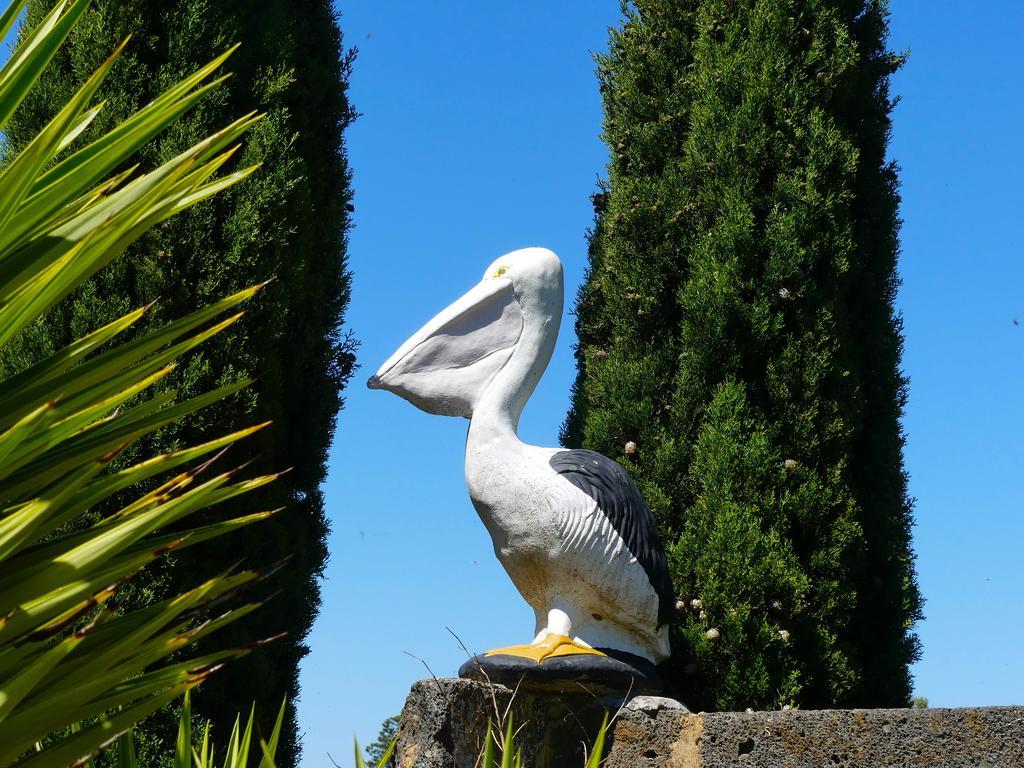 Pelican Waters Holiday Park Port Fairy Exterior photo