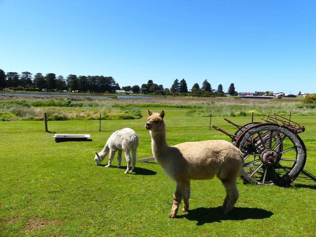 Pelican Waters Holiday Park Port Fairy Exterior photo